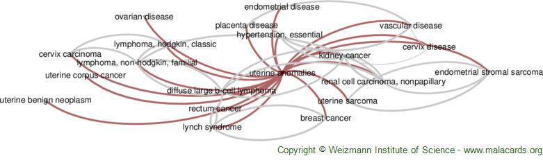 Diseases related to Uterine Anomalies