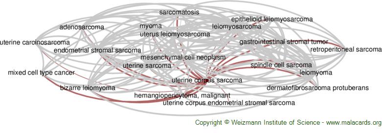 Diseases related to Uterine Corpus Sarcoma