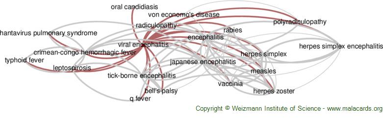 Diseases related to Viral Encephalitis