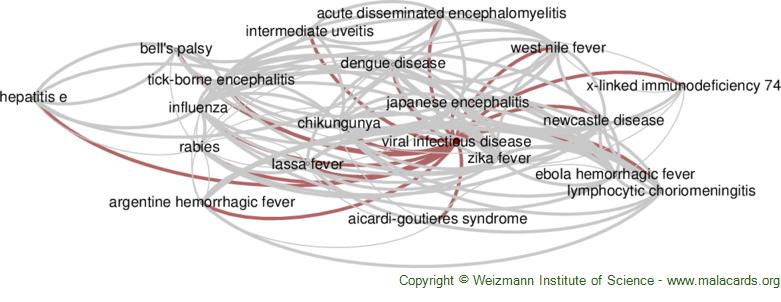 Diseases related to Viral Infectious Disease