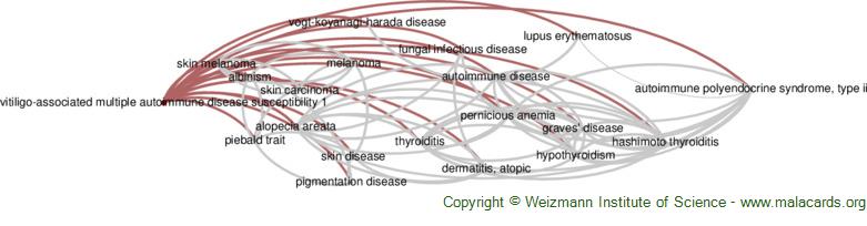 Diseases related to Vitiligo-Associated Multiple Autoimmune Disease Susceptibility 1