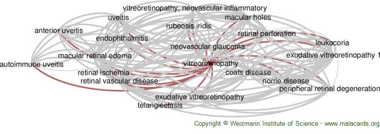 Diseases related to Vitreoretinopathy
