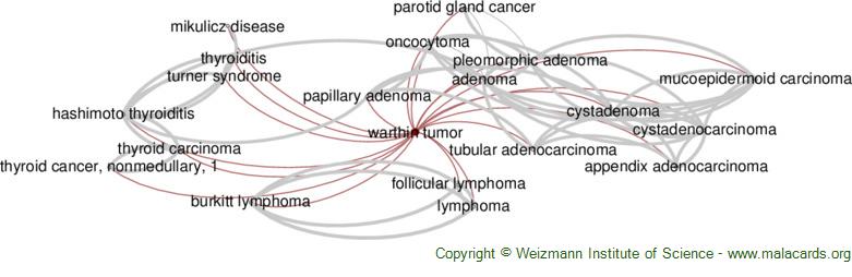 Diseases related to Warthin Tumor