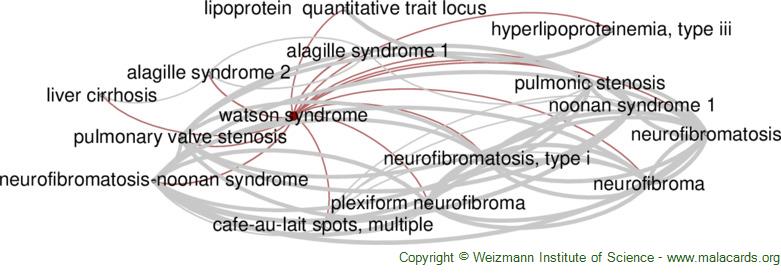 Diseases related to Watson Syndrome