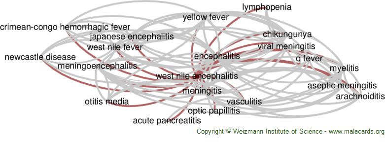 Diseases related to West Nile Encephalitis