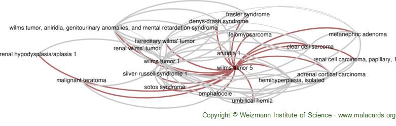 Diseases related to Wilms Tumor 5