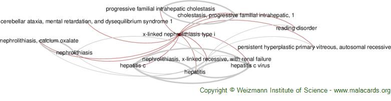 Diseases related to X-Linked Nephrolithiasis Type I