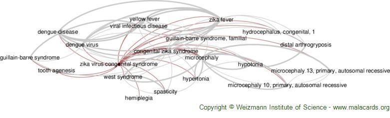 Diseases related to Zika Virus Congenital Syndrome
