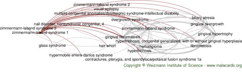 Diseases related to Zimmermann-Laband Syndrome 1