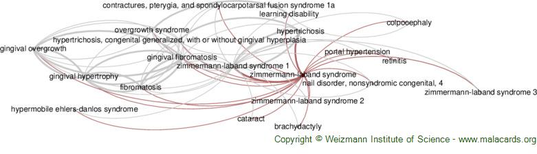 Diseases related to Zimmermann-Laband Syndrome